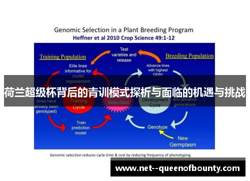 荷兰超级杯背后的青训模式探析与面临的机遇与挑战 荷兰超级杯背后的青训模式探析与面临的机遇与挑战