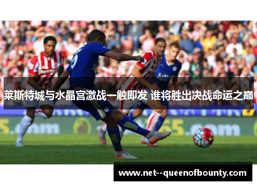 莱斯特城与水晶宫激战一触即发 谁将胜出决战命运之巅 莱斯特城与水晶宫激战一触即发 谁将胜出决战命运之巅