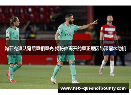 陶菲克退队背后真相曝光 揭秘他离开的真正原因与深层次动机